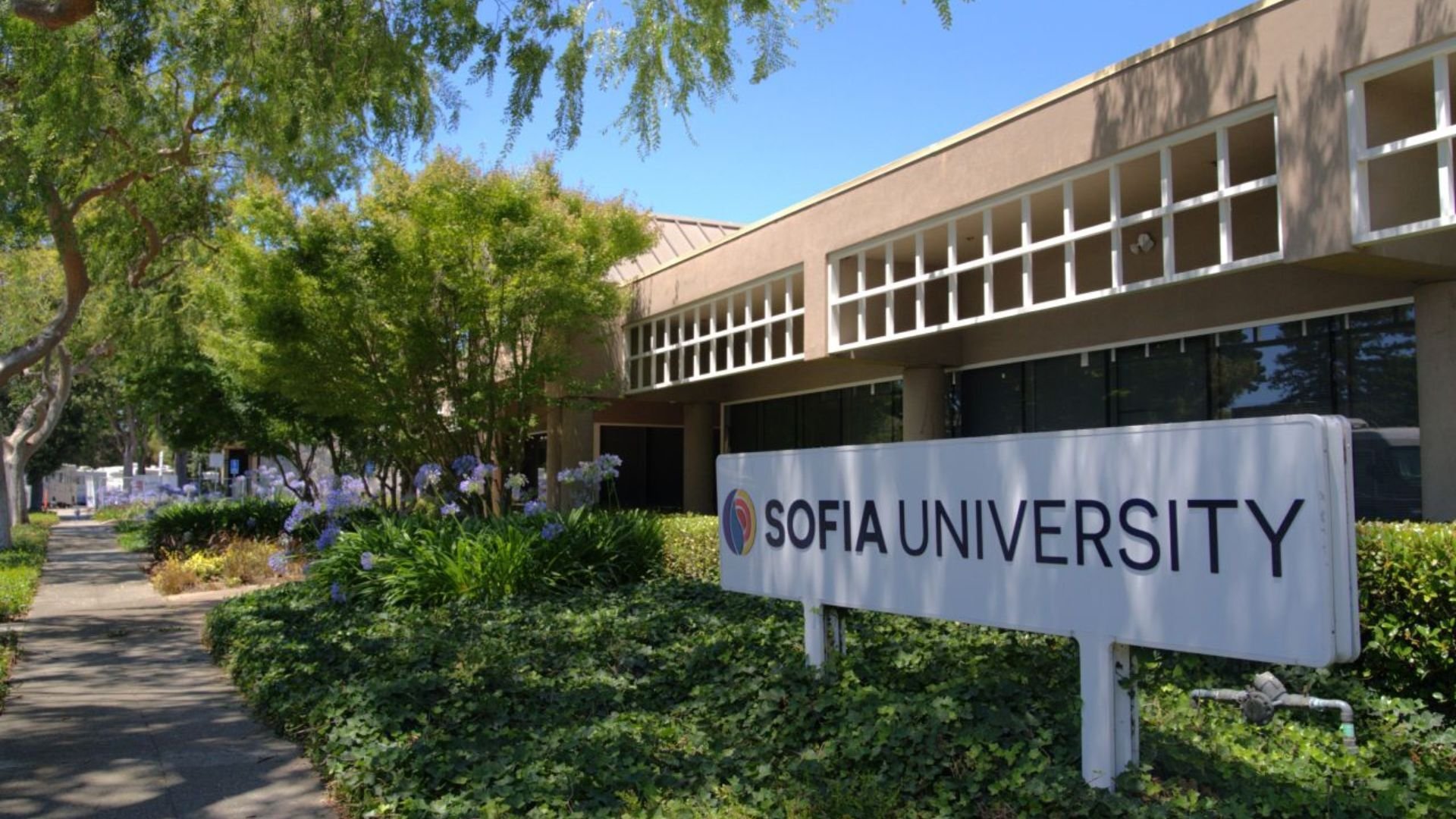 Sofia University Day 1 CPT