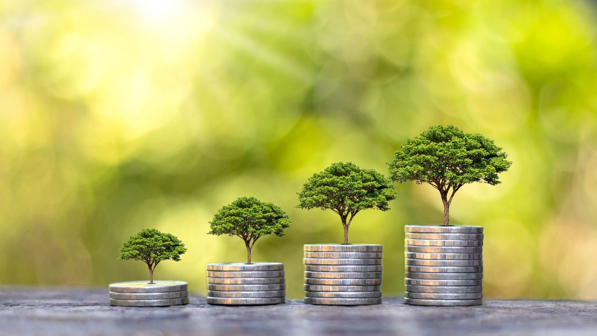 CPT Universities and Proof of Funds
