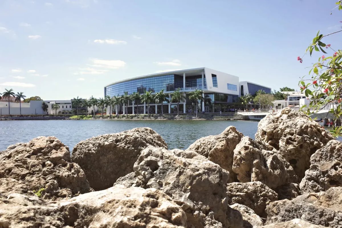 US colleges report 17% drop in new international students