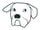 CPTDog